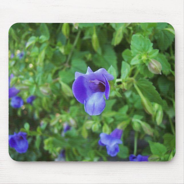 Tapis De Souris Torenia Mousepad (Devant)