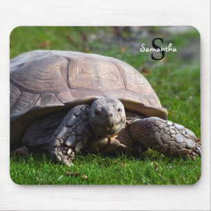 Tapis de souris Tortoise