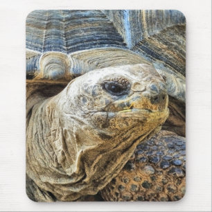 TAPIS DE SOURIS TORTOISE