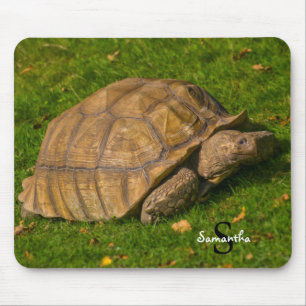 Tapis de souris Tortoise
