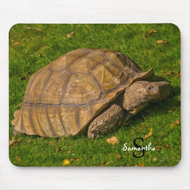 Tapis de souris Tortoise (Devant)