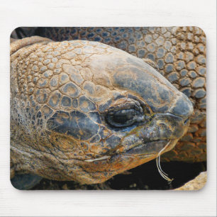 TAPIS DE SOURIS TORTOISE GÉANT