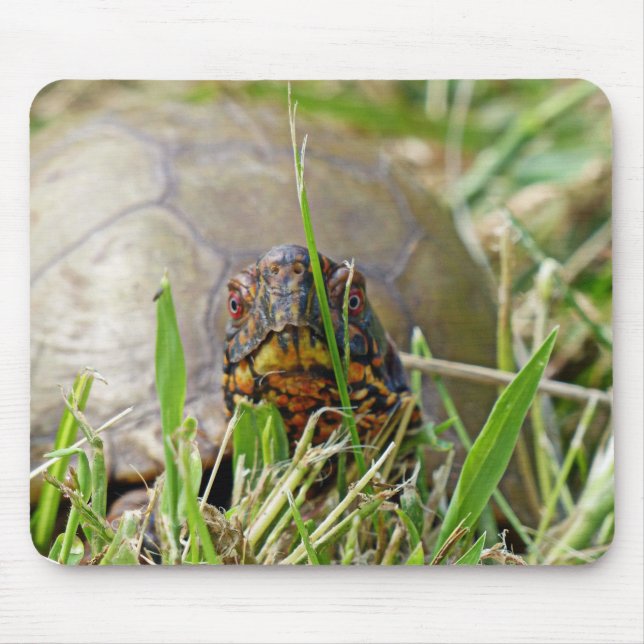 Tapis De Souris Tortue (Devant)