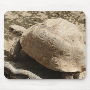 Tapis De Souris Tortue