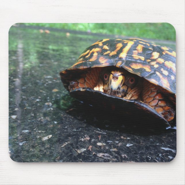 Tapis De Souris Tortue (Devant)