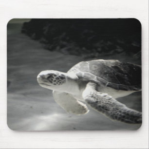 Tapis De Souris Tortue