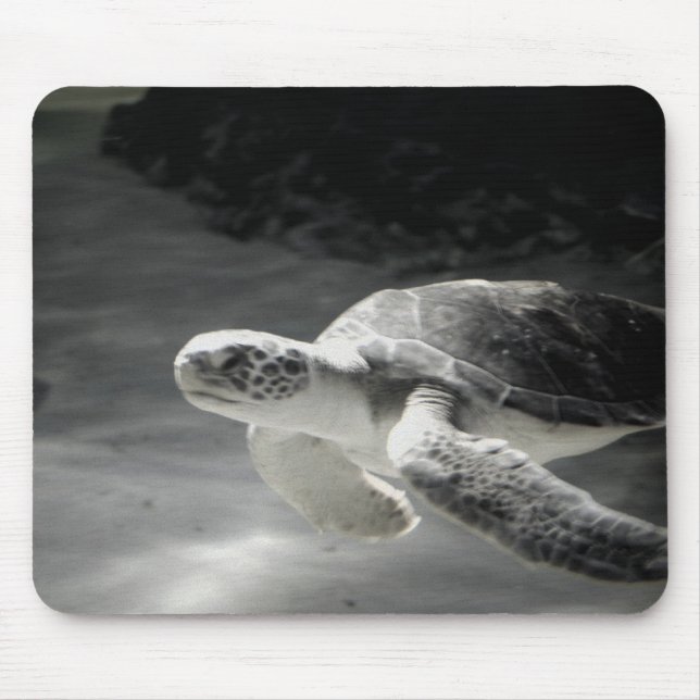 Tapis De Souris Tortue (Devant)