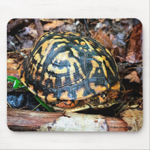 Tapis De Souris Tortue dans la forêt, Chester, South Carolina Post