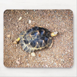 Tapis De Souris tortue de désert