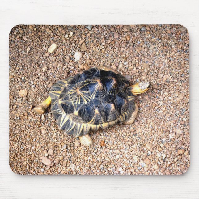 Tapis De Souris tortue de désert (Devant)
