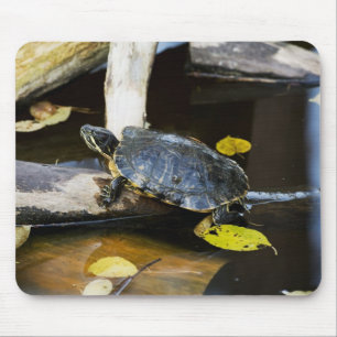 Tapis De Souris Tortue de glisseur d'étang dans le sauvage