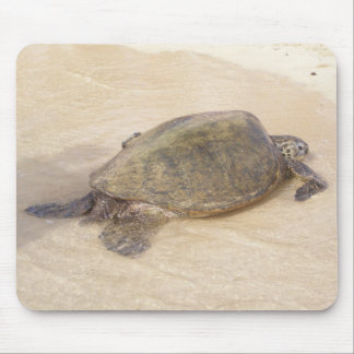Tapis De Souris Tortue de mer géante hawaïenne