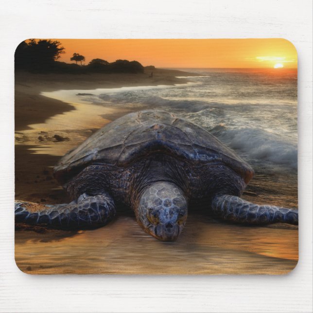 Tapis De Souris Tortue de mer Mousepad (Devant)
