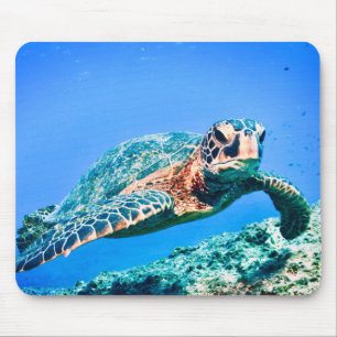 Tapis De Souris Tortue de mer verte