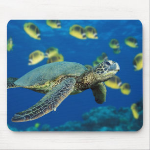 Tapis De Souris Tortue de mer verte