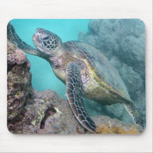 Tapis De Souris Tortue de mer verte d'Hawaï