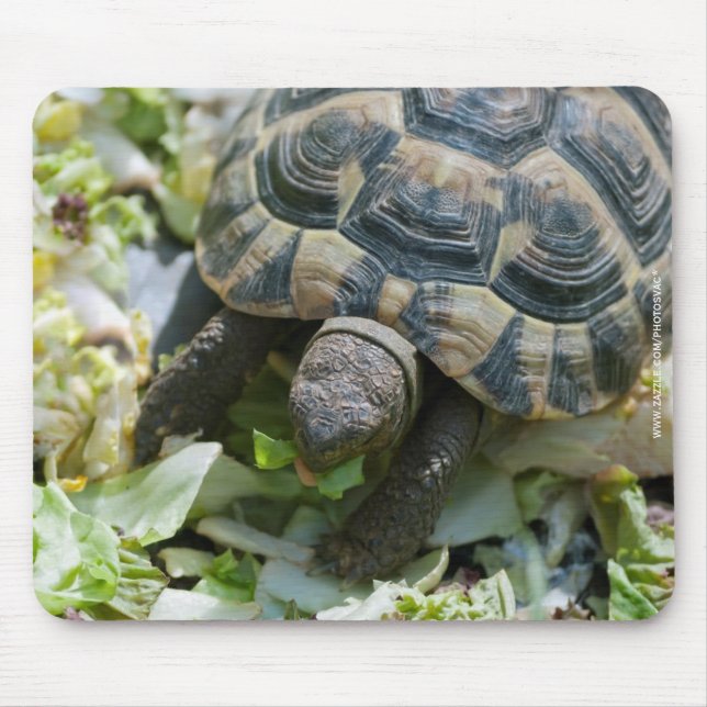 Tapis De Souris Tortue mignonne (Devant)