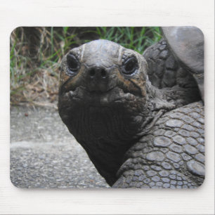 Tapis De Souris Tortue Mousepad