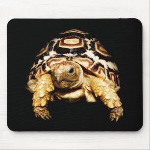 Tapis De Souris Tortue Mousepad de léopard