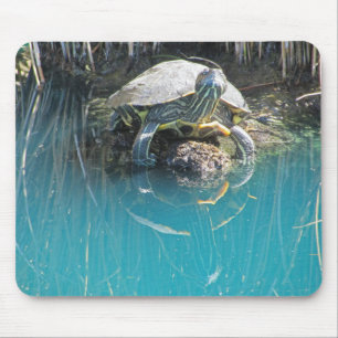 Tapis De Souris Tortue par Waters Edge Calme Photographie de la na