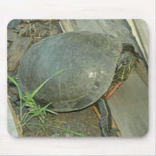 Tapis De Souris Tortue peinte (Chrysemys picta)