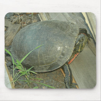 Tapis De Souris Tortue peinte (Chrysemys picta)