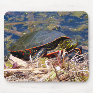 Tapis De Souris Tortue peinte (Chrysemys picta) 3