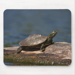 Tapis De Souris Tortue peinte sur un bûcher