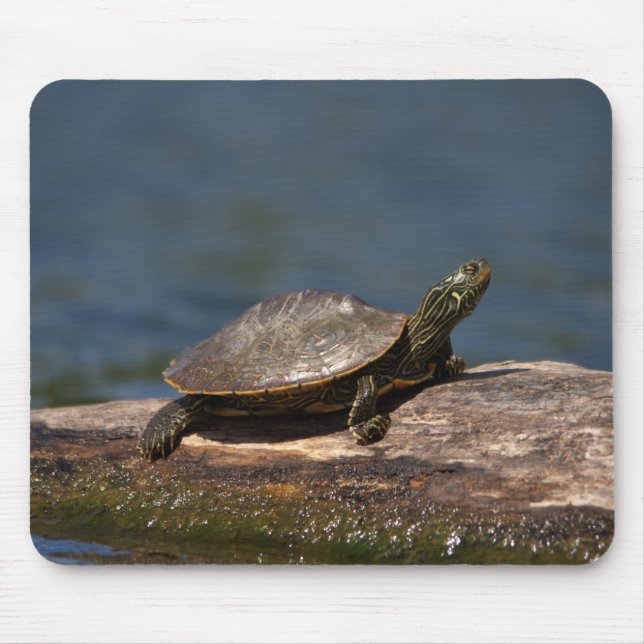 Tapis De Souris Tortue peinte sur un bûcher (Devant)