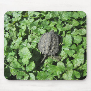 Tapis De Souris Tortue serpent
