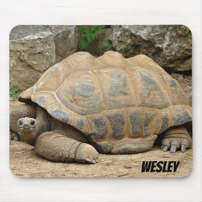 Tapis De Souris Tortue souriante  (Devant)