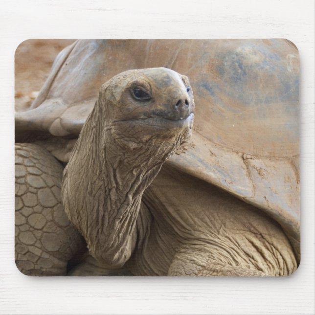 Tapis De Souris Tortue terrestre des Seychelles Aldabran (Devant)