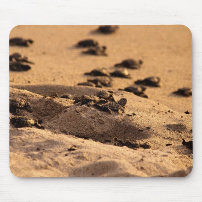 Tapis De Souris Tortues de mer (Devant)