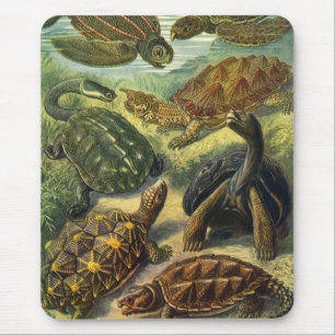 Tapis De Souris Tortues de mer Tortues terrestres vintage par Erns