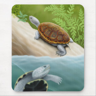 Tapis De Souris Tortues Mousepad de terrapin de dos en forme de