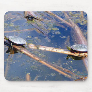 Tapis De Souris Tortues peintes (Chrysemys picta)