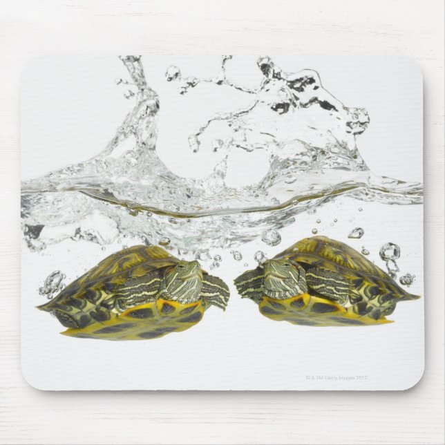 Tapis De Souris Tortues rouges (Devant)
