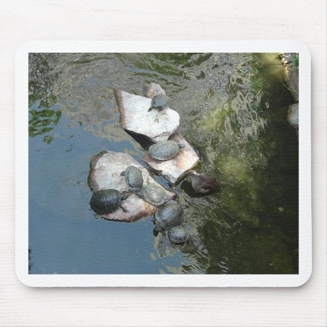 Tapis De Souris Tortues/Tortues (Devant)