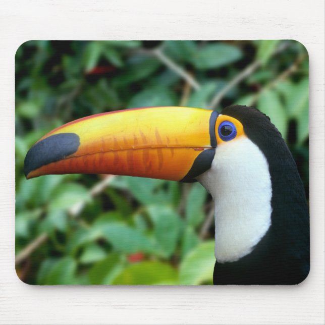 Tapis De Souris Toucan à bec jaune (Devant)