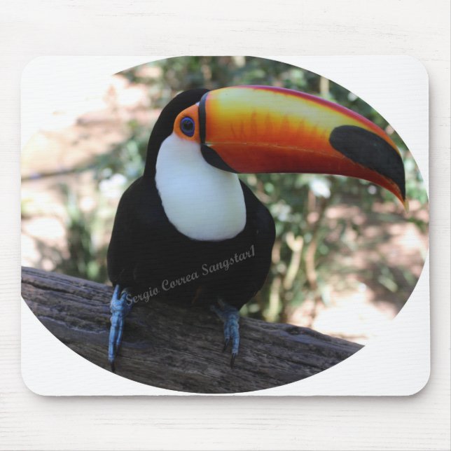 Tapis De Souris Toucan de Mousepad (Devant)