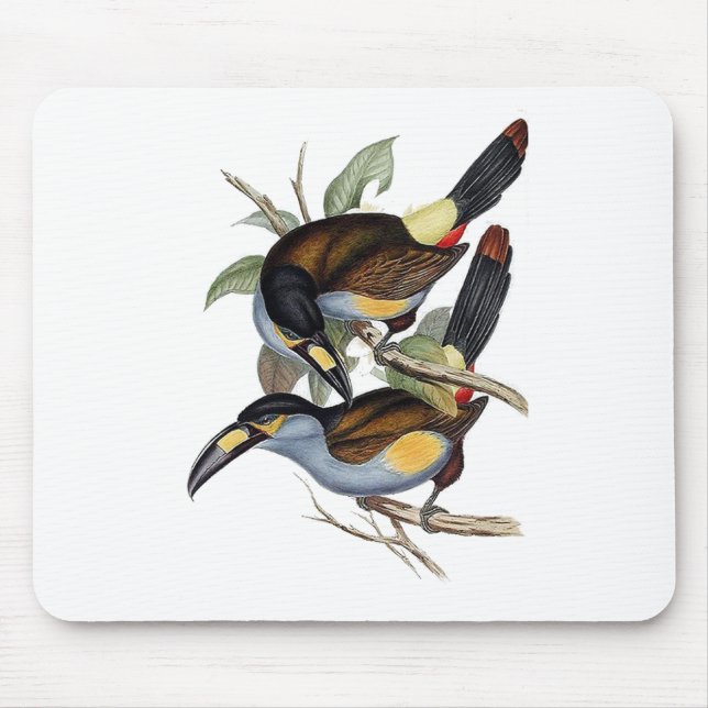 Tapis De Souris toucan Plat-affiché de montagne (Devant)