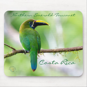 Tapis De Souris Toucanet émeraude du Nord au Costa Rica