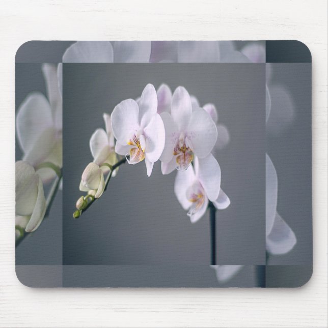 Tapis de Souris Touché de Fleurs Blanches (Devant)