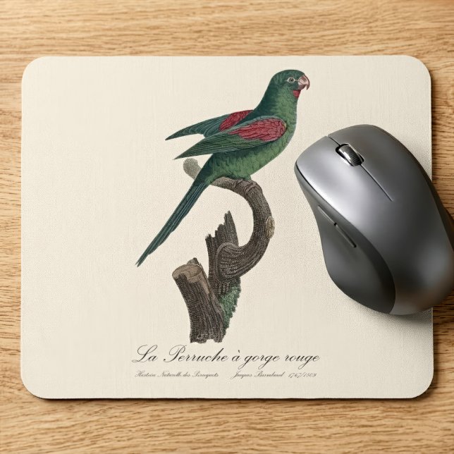 Tapis De Souris Touï à gorge orange, Brotogeris jugularis (Orange-Chinned Parakeet, Brotogeris jugularis. Mouse Pad)