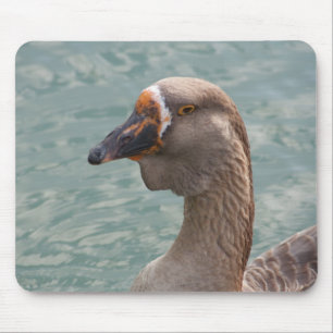 Tapis De Souris Toulouse Goose