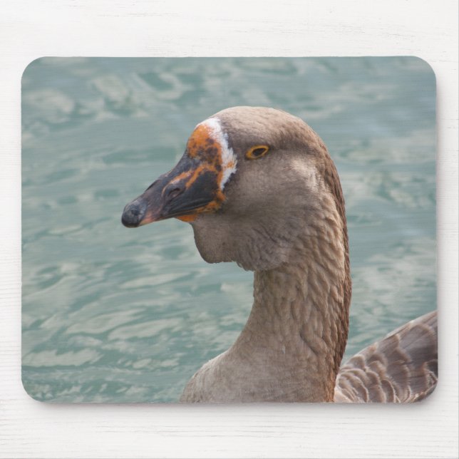 Tapis De Souris Toulouse Goose (Devant)
