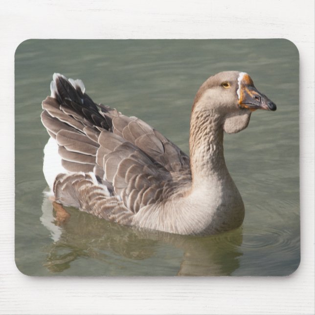 Tapis De Souris Toulouse Goose (Devant)