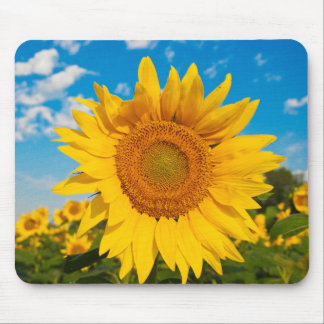 Tapis De Souris Tournesol
