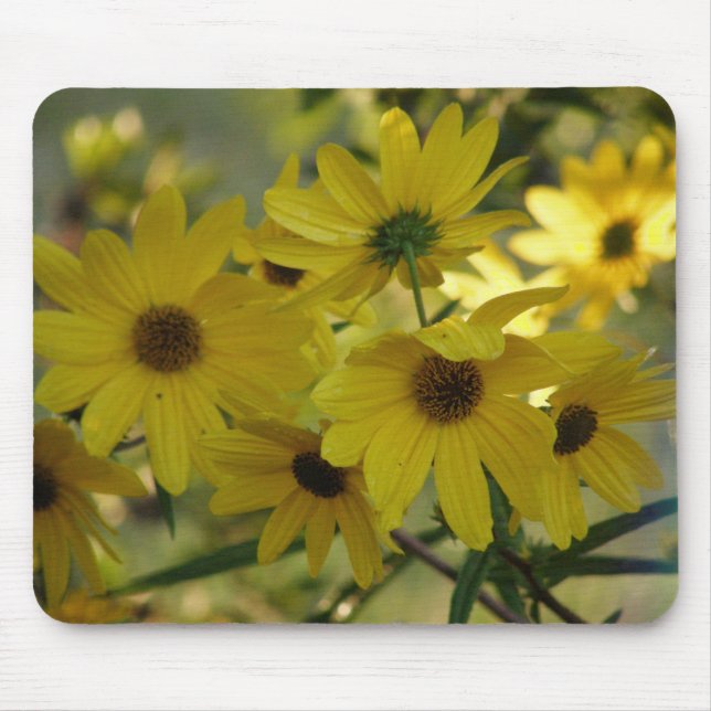 Tapis De Souris Tournesol de marais 2 Mousepad (Devant)
