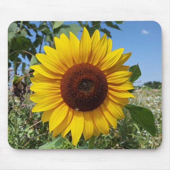 Tapis De Souris Tournesol ensoleillé (Devant)